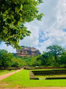 a view of a park with a rock formation at Zensigiri Homestay in Sigiriya