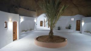 eine Pflanze in einem Topf in einem Raum mit weißen Wänden in der Unterkunft Hotel Sidi Idris Star Wars in Matmata
