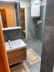 济泽罗河畔帕塞基Apartmán Bergschloss 6的带水槽和淋浴的浴室 更多1张照片