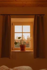耶什赫维采Apartmány Vysoká v srdci Českého Švýcarska的窗台上盆里种着植物的窗户