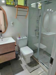 une salle de bains avec douche, toilettes et lavabo dans l'établissement Hermosa Casa en El Ensueño Santa Ana Colonia, à Santa Ana