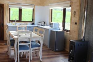 Η κουζίνα ή μικρή κουζίνα στο Amanecer del Ranco