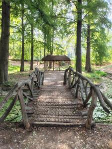 Příroda nedaleko aparthotelu