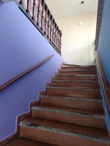 a staircase in a building with purple walls at Suite 103 Cordoba Centro con Estacionamiento in Córdoba +1 photo