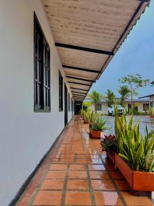 Φωτογραφία από το άλμπουμ του Hotel San Pedro σε Monterrey