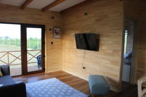 Μια τηλεόραση ή/και κέντρο ψυχαγωγίας στο Amanecer del Ranco