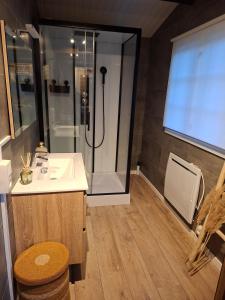 Koupelna v ubytování Violet Cottage et Spa Chalet 4P Nature et Cocooning