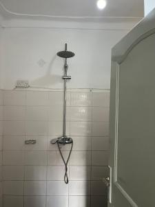 a bathroom with a shower with a stand up shower at Ashok Apartments APT C in Buzzi