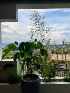 una planta en una maceta colocada en el alféizar de una ventana en Residence Gratia by Eagle View, en Kigali