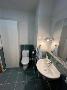 un bagno con un water e un lavandino di Trzy Pokoje Park Śląski a Siemianowice Śląskie