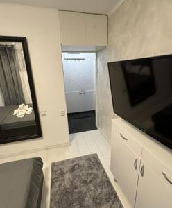 Μια τηλεόραση ή/και κέντρο ψυχαγωγίας στο Apartmani Classic NP