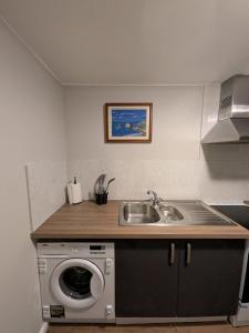 eine Küche mit Spüle und Waschmaschine in der Unterkunft Bright Comfortable 1 Bedroom Flat in Neepsend