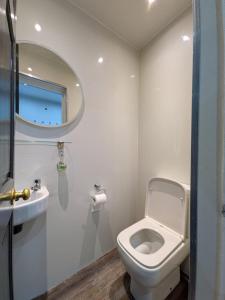 a bathroom with a toilet and a sink and a mirror at Bright Comfortable 1 Bedroom Flat in Neepsend