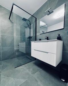 a bathroom with a shower and a sink and a mirror at Secret Forest Avrig By Erwin in Avrig