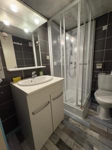 une salle de bain avec douche, lavabo et toilettes dans l'établissement Cocooning Auvergnat, à La Bourboule