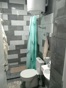 a bathroom with a toilet and a sink at Studio Apartman Treće Nebo in TrÅ¡iÄ‡
