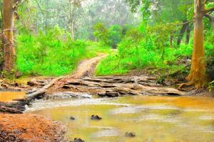 a painting of a dirt road next to a river at Wild Safari River Cottage Udawalawa in Udawalawe