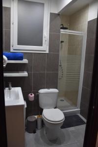 a bathroom with a toilet and a sink and a shower at La Maison des Trois in Beausoleil +6 photos