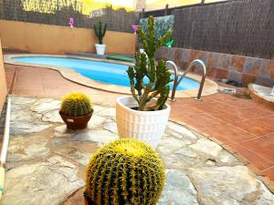 Swimmingpoolen hos eller tæt på Dar Nur Villa Private pool, Barbecue and Solarium + 65 billeder