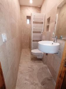 阿尔勒Extraordinaire face aux Arènes的带水槽和马桶的浴室