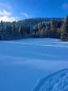 雷滕贝格FeWo Alpenherz im Allgäu, mit Balkon und Bergblick的远处是一片被白雪覆盖的大湖，湖边树木葱郁。 更多26张照片