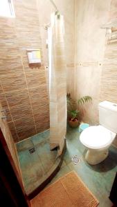ein Badezimmer mit Dusche und Toilette in der Unterkunft Entre Árboles in San Salvador de Jujuy