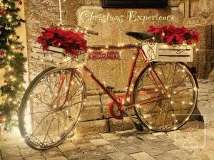 Jízda na kole v ubytování Le Due Sicilie nebo okolí