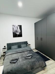 1 dormitorio con 1 cama grande con manta gris en Studio Apartment центр міста Чернівці, en Chernivtsi
