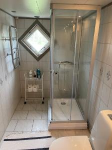 a bathroom with a shower with a glass door at Charming Bohuslän Cottage with Nature Views in Lysekil +9 photos