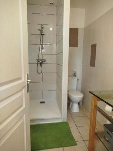 une salle de bain avec douche et toilettes dans l'établissement Charmant appart avec balcon donnant sur place de la mairie, à Castelsarrasin