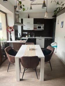 Η κουζίνα ή μικρή κουζίνα στο Apartmán Jako doma