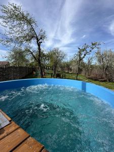 a pool of water on top of a wooden deck at Romantic Escape at Joyard - ciubar inclus in Porumbacu de Sus