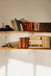 a shelf with books and a radio on it at Romantic Escape at Joyard - ciubar inclus in Porumbacu de Sus