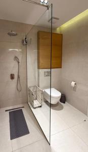 a bathroom with a glass shower and a toilet at Seaview Apartment in Bečići +20 photos