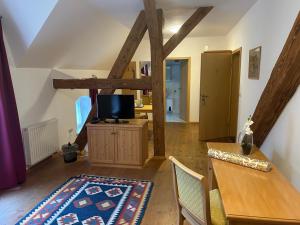 TV a/nebo společenská místnost v ubytování Schlosshotel Wolfshagen