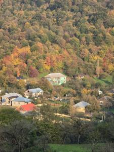 Galeriebild der Unterkunft Lerik renthouse  + 7 Fotos