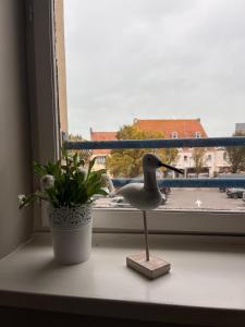 Μπαλκόνι ή βεράντα στο Appartement paisible et lumineux au coeur de Wissant +8 φωτογραφίες