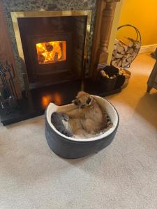 a dog sitting in a dog bed in front of a fireplace at The Grange, Northill in Northill