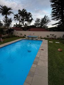 德班Rephidim Palace 02的院子里有一个蓝色水的游泳池