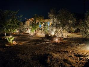 Κήπος έξω από το Nature house