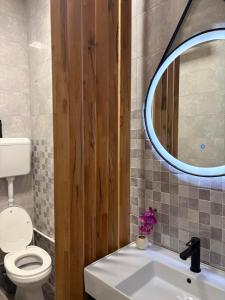a bathroom with a white toilet and a mirror at Apartman Aleksandar 