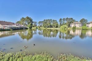 einen See mit Enten, die im Wasser schwimmen in der Unterkunft Cypress Bay Getaway in Little River