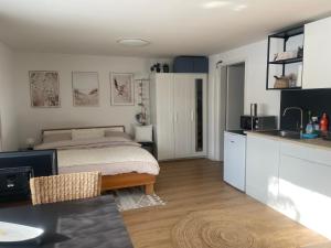 Kuchyň nebo kuchyňský kout v ubytování Magnifique studio dans une villa