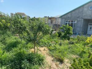 Φωτογραφία από το άλμπουμ του Дача σε Bilgah