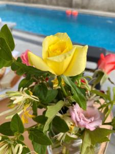 Piscina de la sau aproape de Дача +10 fotografii