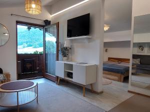 Μια τηλεόραση ή/και κέντρο ψυχαγωγίας στο Abis Ferienwohnung Salzkammergut