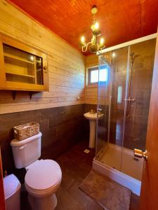 a bathroom with a toilet and a shower and a sink at Cabaña Canelita in Cochrane