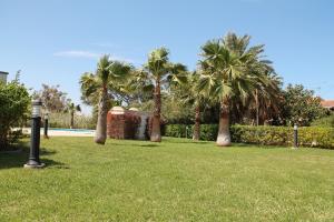 einen Park mit Palmen und einem Pool in der Unterkunft Las Olas Denia in Denia