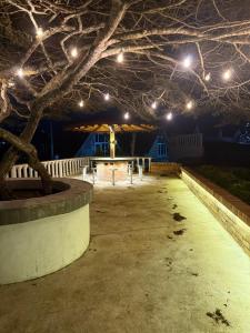 a room with a tree with lights on it at Casa Cañón ecolodge in Los Santos