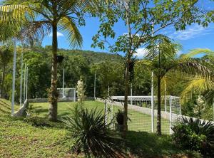 ein Fußballfeld mit Palmen und einem Netz in der Unterkunft Chácara Recanto dos Lagos in Cotia + 8 Fotos